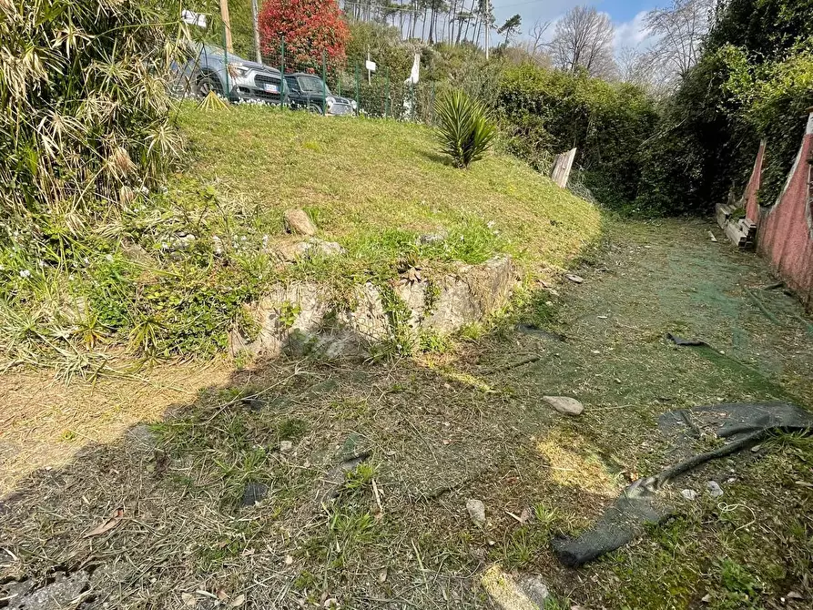 Immagine 22 di Casa indipendente in vendita  in Via della Pace 62 a Ameglia