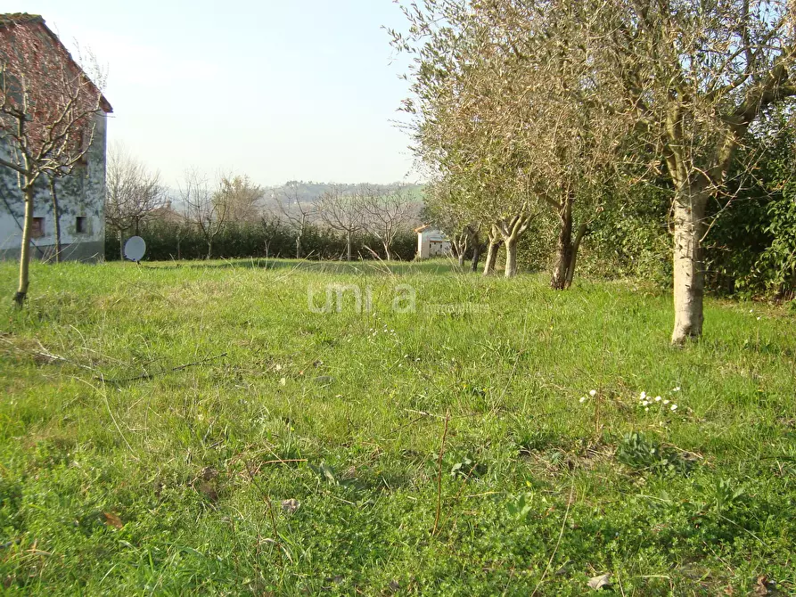 Immagine 13 di Casa indipendente in vendita  in via Barchio 2 a Cupramontana