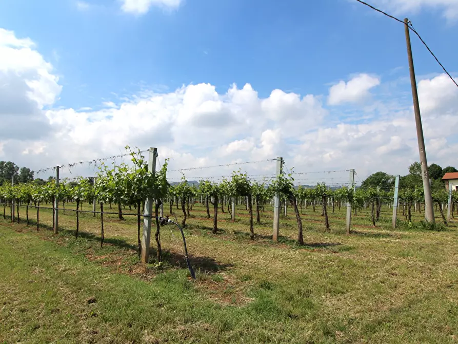 Immagine 14 di Terreno agricolo in vendita  in Via San Francesco a Valsamoggia