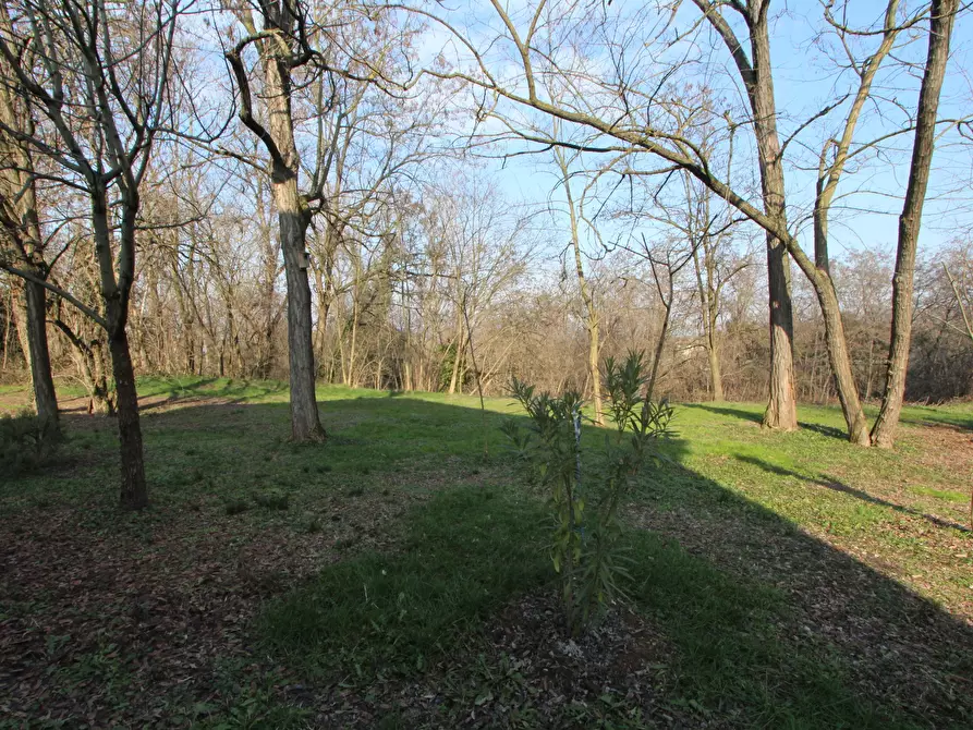 Immagine 27 di Villetta a schiera in vendita  in Via Generale Carlo Alberto dalla Chiesa a Valsamoggia