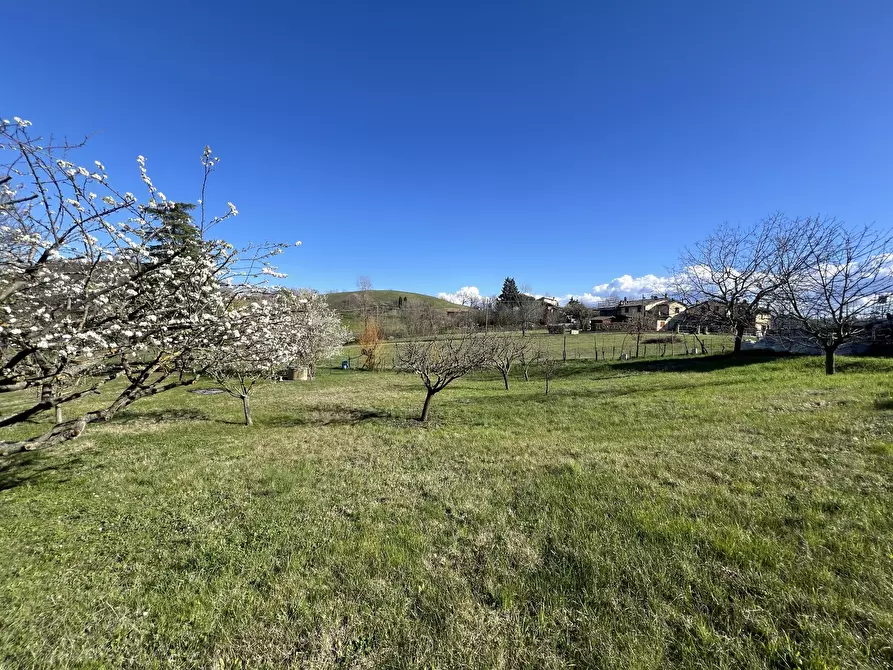 Immagine 2 di Terreno agricolo in vendita  in Via Tiola a Valsamoggia
