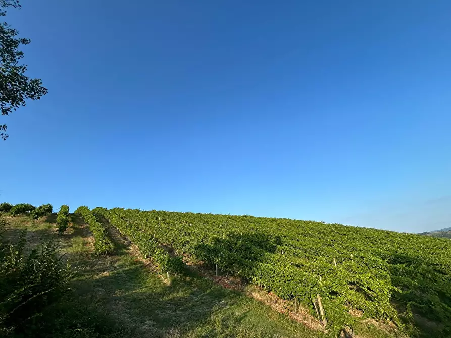 Immagine 29 di Porzione di casa in vendita  in Via Barlete a Valsamoggia
