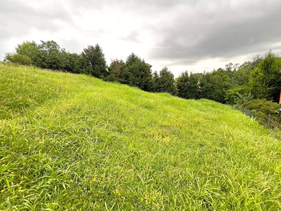 Immagine 9 di Terreno agricolo in vendita  in Via Stella a Valsamoggia
