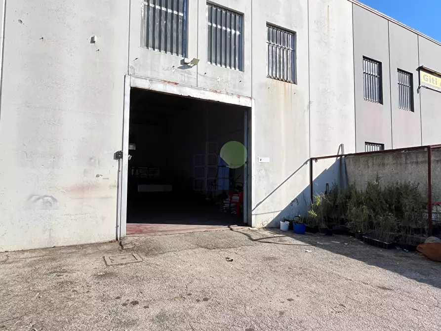 Immagine 7 di Capannone industriale in affitto  in Via Aurelia 76 a Collesalvetti