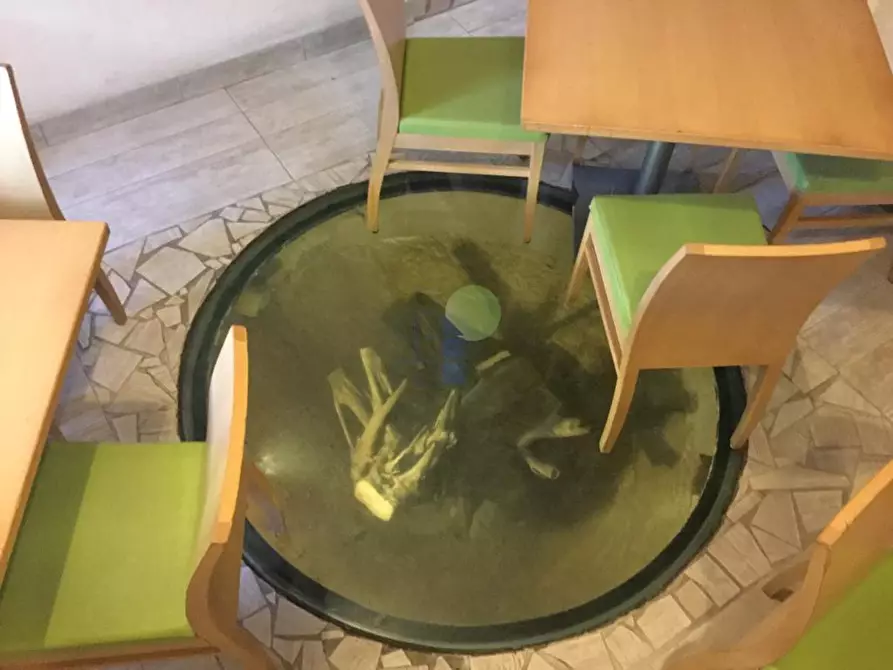 Immagine 8 di Bar / Ristorante in vendita  in via dei lavoratori 21 a Rosignano Marittimo