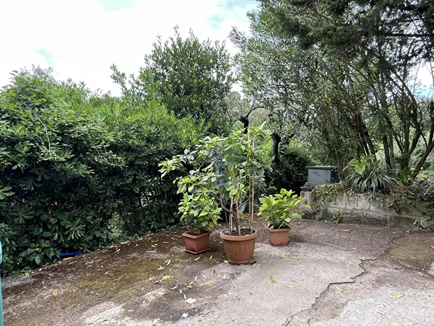 Immagine 6 di Terreno agricolo in vendita  in Via di Popogna 441 a Livorno
