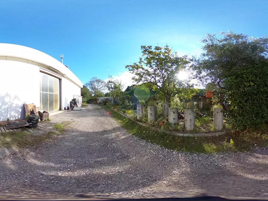 Immagine 4 di Attività artigianale in affitto  in Via dei Materassai 11 a Livorno