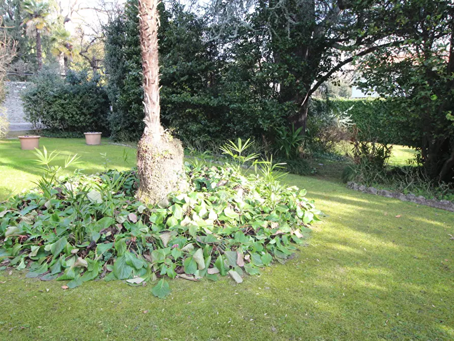 Immagine 17 di Trilocale in affitto  in Via XX Settembre 1 a Arona