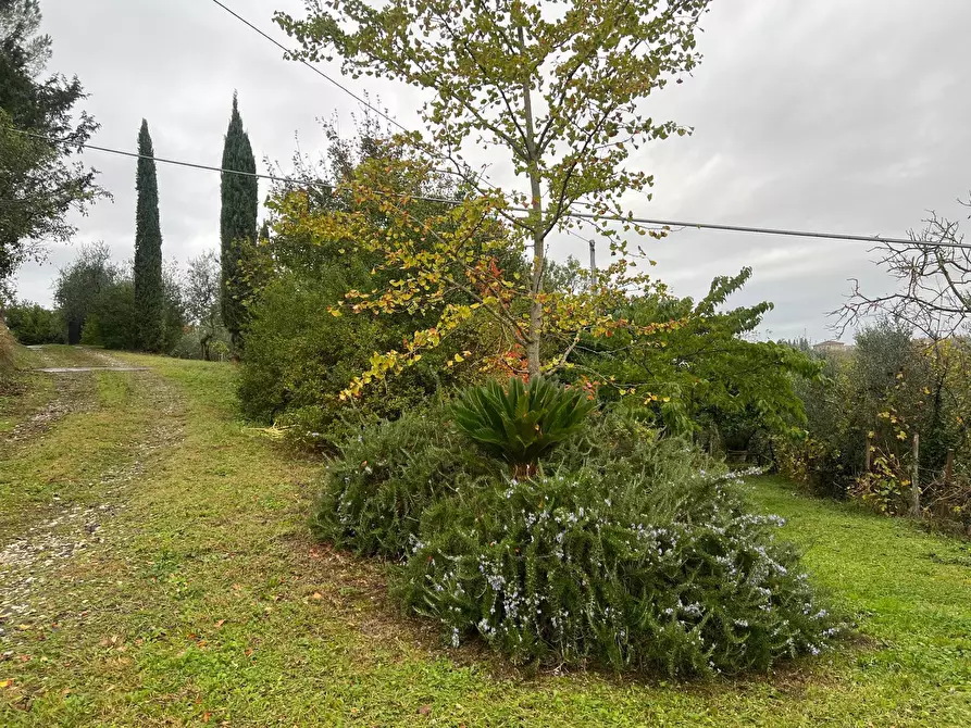 Immagine 37 di Casa indipendente in vendita  in Via Poggio di Pozzolatico a Impruneta
