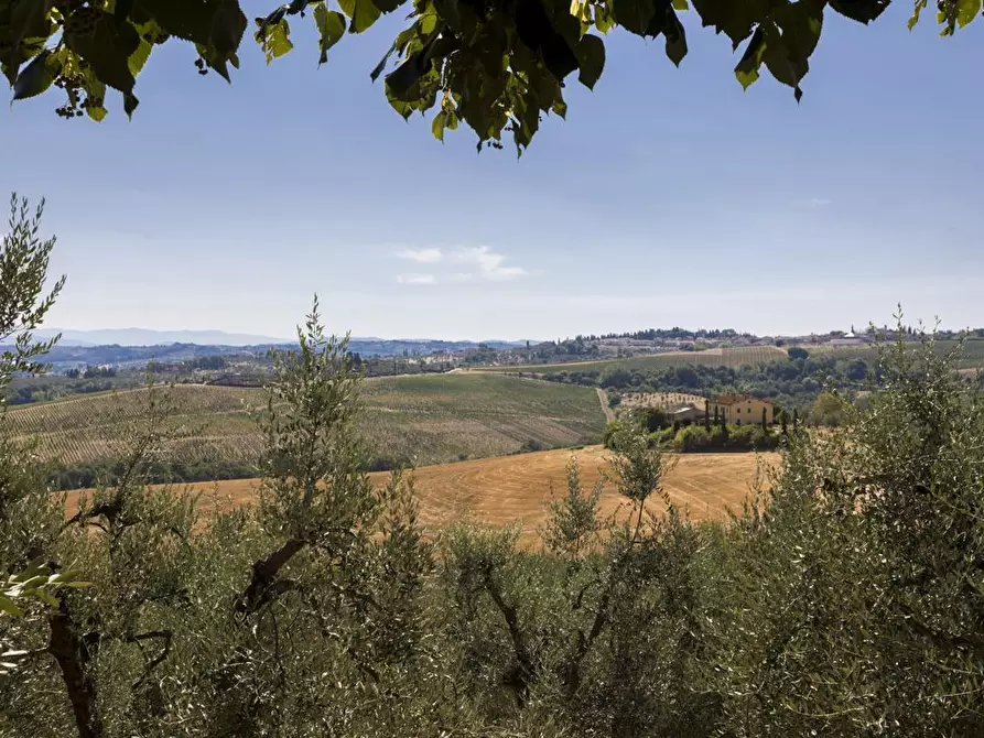 Immagine 44 di Villa in vendita  in via tortori a Montespertoli