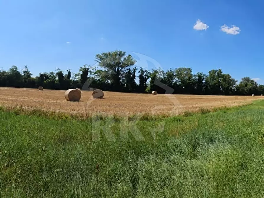 Immagine 26 di Rustico / casale in vendita  a Valsamoggia