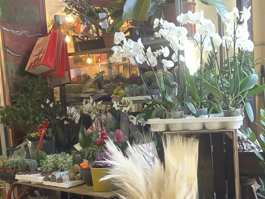 Immagine 4 di Attività commerciale in vendita  in Via dell'Indipendenza 2 a Bologna