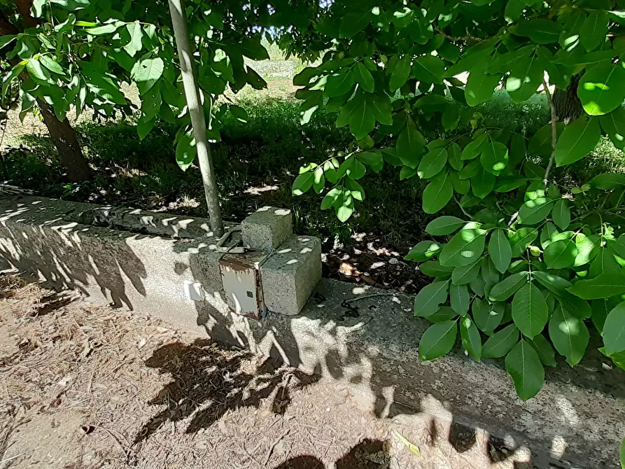 Immagine 38 di Rustico / casale in vendita  in Strada Provinciale 24 21 a Noto