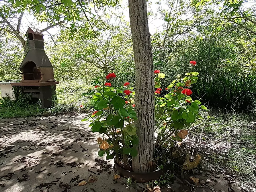 Immagine 13 di Villa in vendita  in Strada Statale 287 a Noto