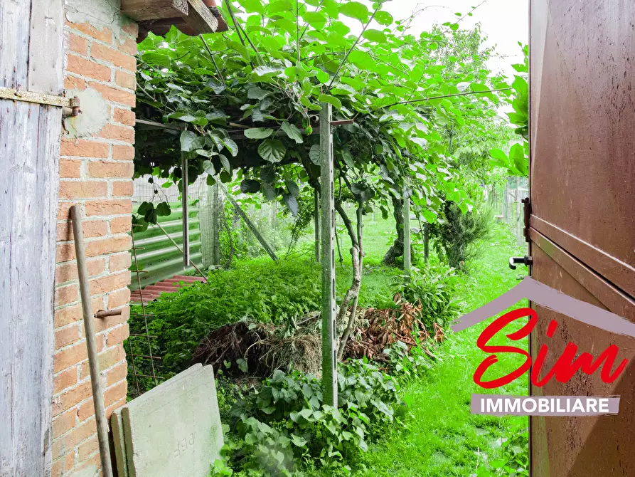 Immagine 22 di Terratetto in vendita  in Via San Giovanni snc a Borgolavezzaro