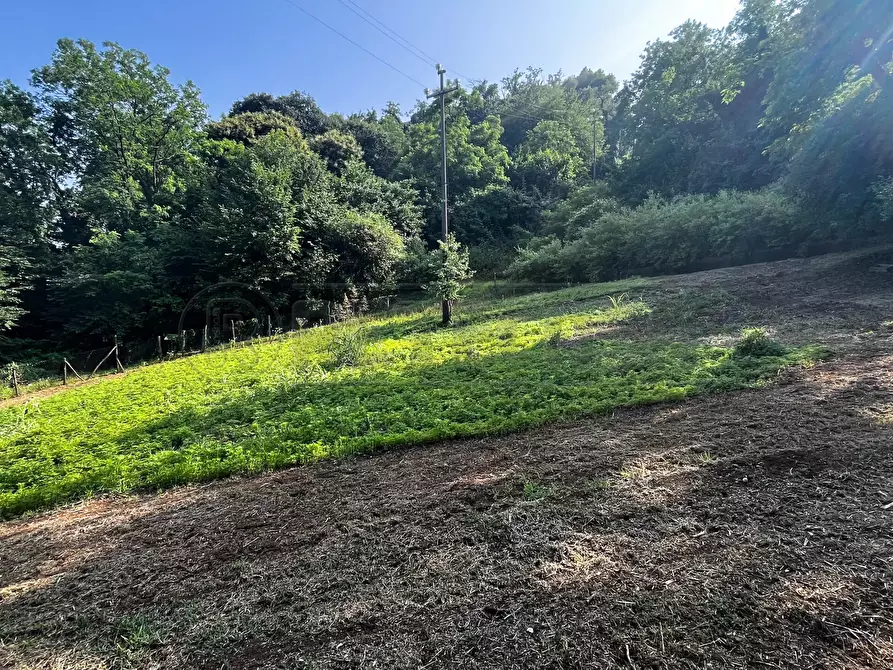 Immagine 37 di Terreno agricolo in vendita  in Via Bazziola a Monteviale