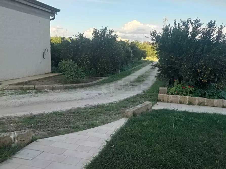 Immagine 9 di Villa in vendita  a Castelvetrano