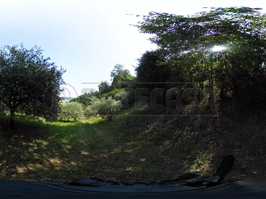Immagine 51 di Terreno agricolo in vendita  in Via Bazziola a Monteviale