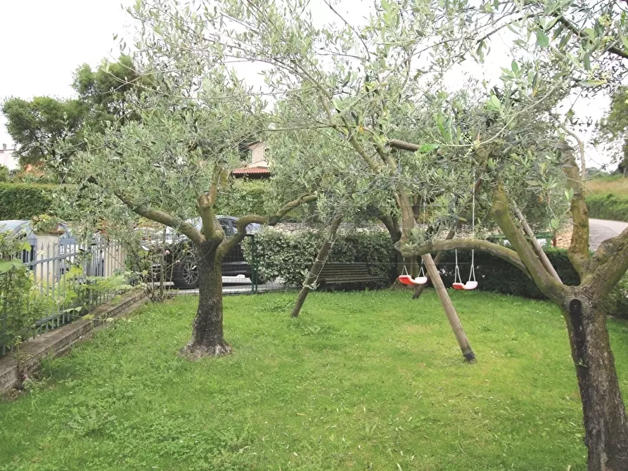 Immagine 26 di Rustico / casale in affitto  in Via San Giovanni Battista a Arcugnano