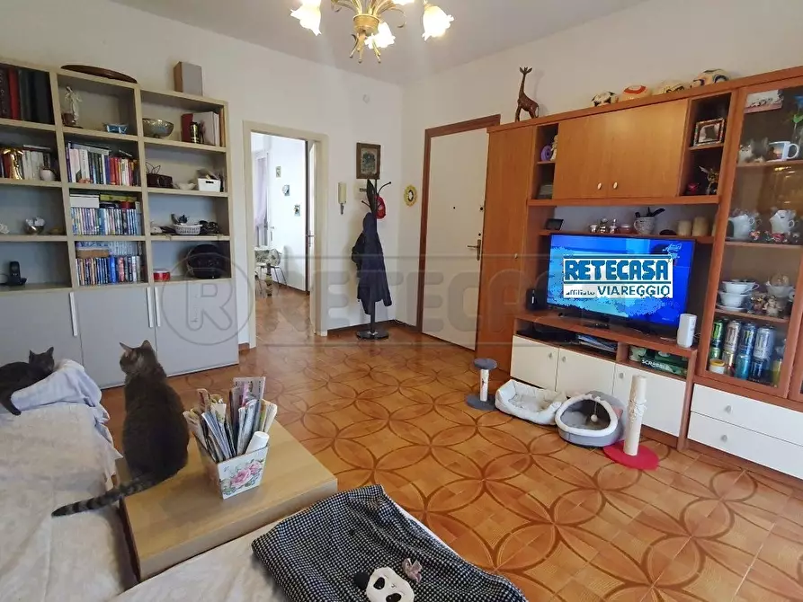 Immagine 3 di Trilocale in vendita  in Via dei Lecci a Viareggio