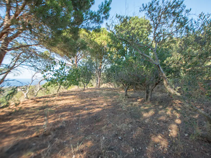 Immagine 24 di Villetta a schiera in vendita  in Contrada Malapezza 8 a Messina