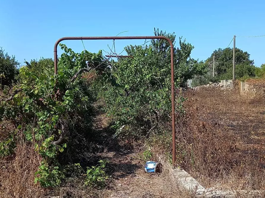terreno agricolo in vendita a Maglie in zona Morigino