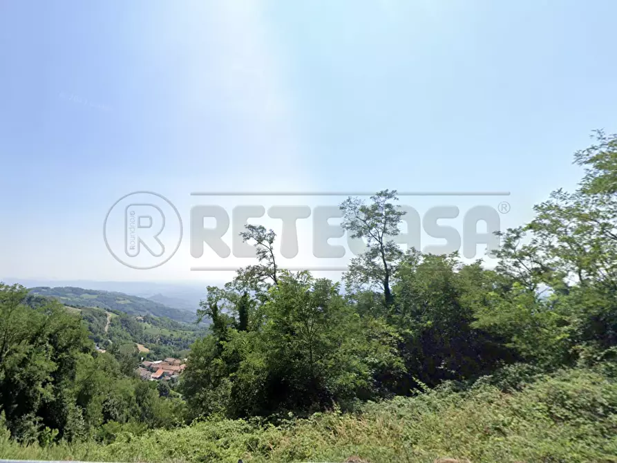 Immagine 1 di Terreno agricolo in vendita  a Roncà