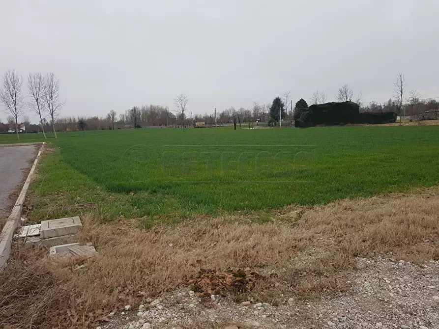 Immagine 2 di Terreno edificabile in vendita  a Noale