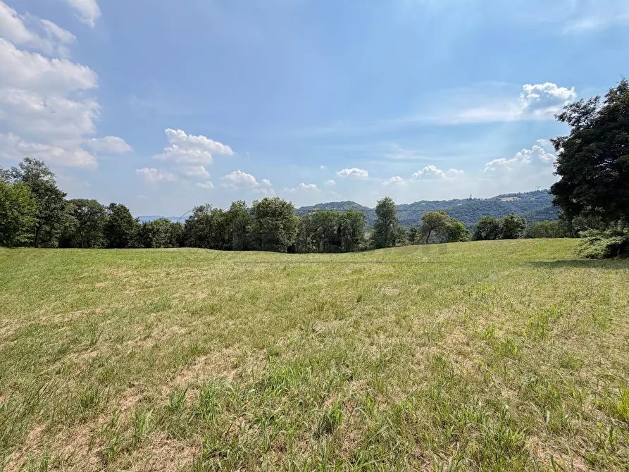 Immagine 1 di Terreno agricolo in vendita  in Via Castegnini di Sopra a Sovizzo