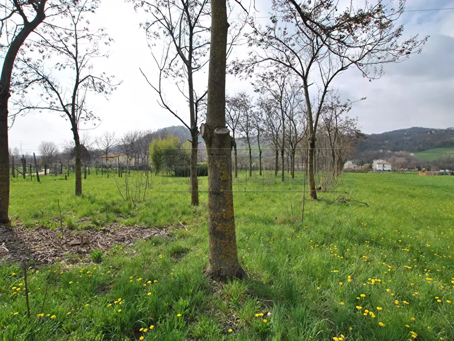 Immagine 1 di Terreno agricolo in vendita  in via Monte Verlaldo 113/C a Cornedo Vicentino
