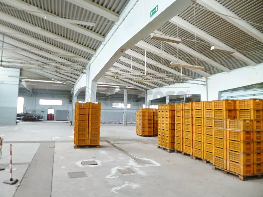 Immagine 6 di Attività artigianale in vendita  a Montebello Vicentino