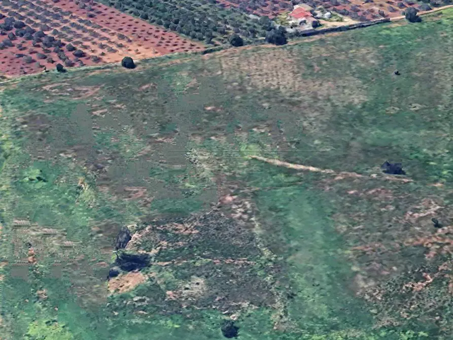 Immagine 2 di Terreno agricolo in vendita  a Castelvetrano