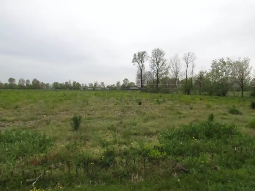 Immagine 1 di Terreno agricolo in vendita  a Santa Giustina In Colle