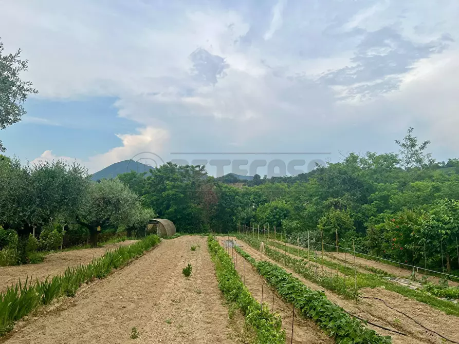 Immagine 29 di Villetta a schiera in vendita  in Via Monte Venda 516 a Vo