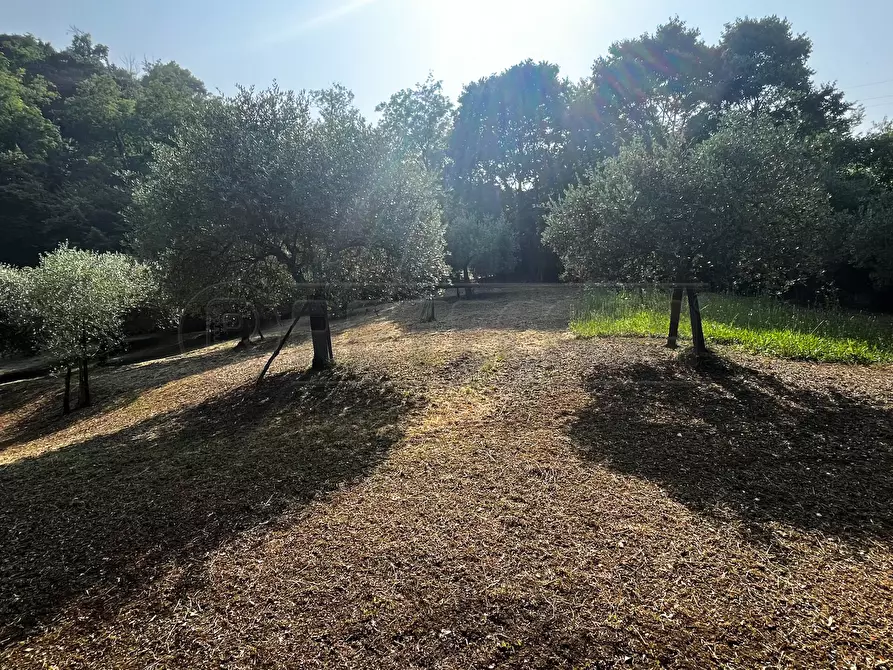 Immagine 29 di Terreno agricolo in vendita  in Via Bazziola a Monteviale