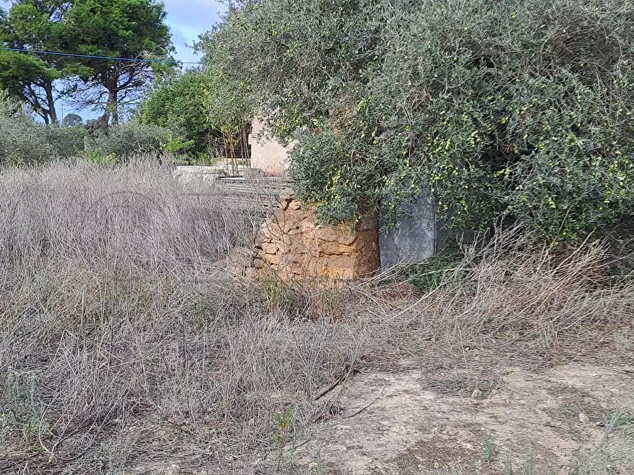 Immagine 2 di Terreno agricolo in vendita  in contrada casazze a Marsala