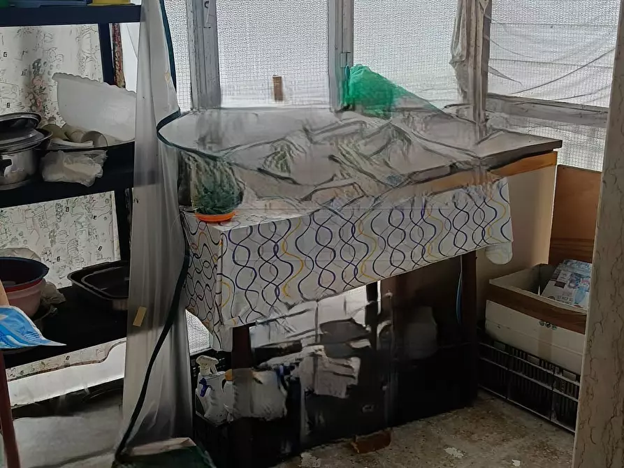 Immagine 12 di Quadrilocale in vendita  in Via Giosuè Carducci 25 a Maglie