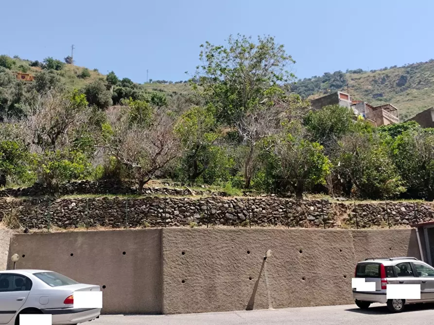 Immagine 24 di Terreno agricolo in vendita  in Vico Trave in Giampilieri Superiore 15 a Messina