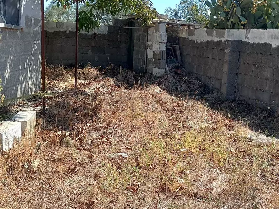Immagine 5 di Terreno agricolo in vendita  a Maglie