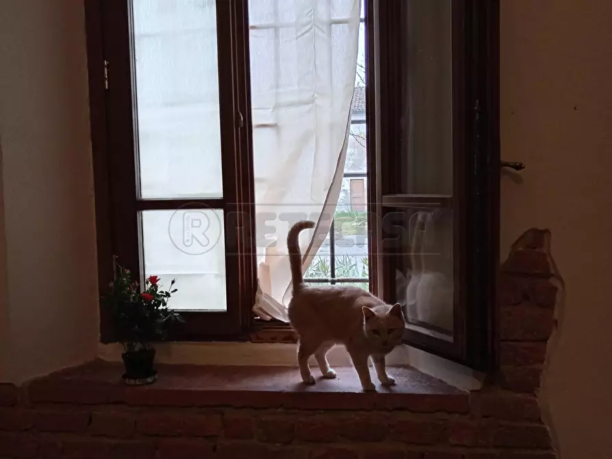 Immagine 10 di Rustico / casale in vendita  in Via Bagnarolo a Gadesco Pieve Delmona