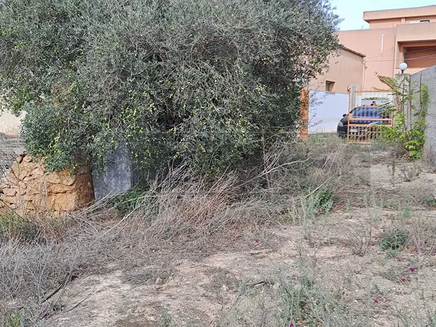Immagine 4 di Terreno agricolo in vendita  in contrada casazze a Marsala