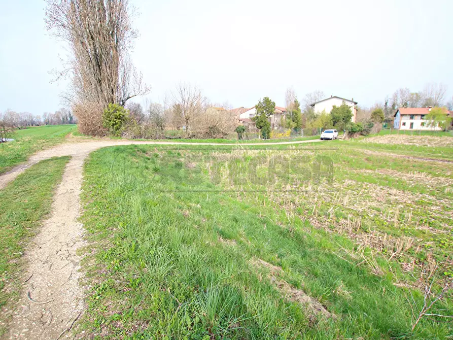 terreno agricolo in vendita a Villaverla