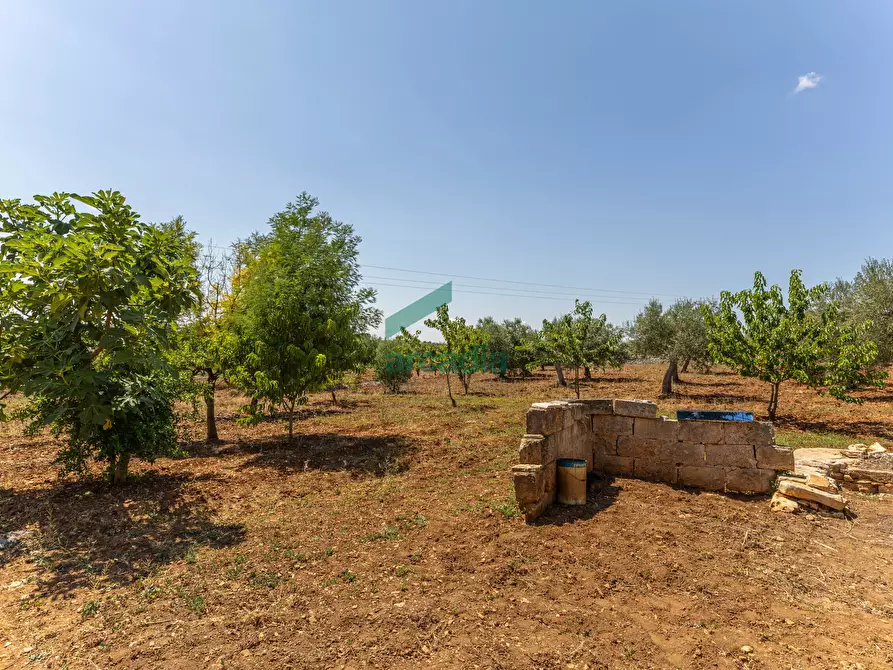 Immagine 4 di Rustico / casale in vendita  in SP32 68 a Putignano