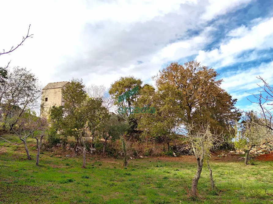 Immagine 9 di Rustico / casale in vendita  in Via Bosco Selva 24 a Alberobello