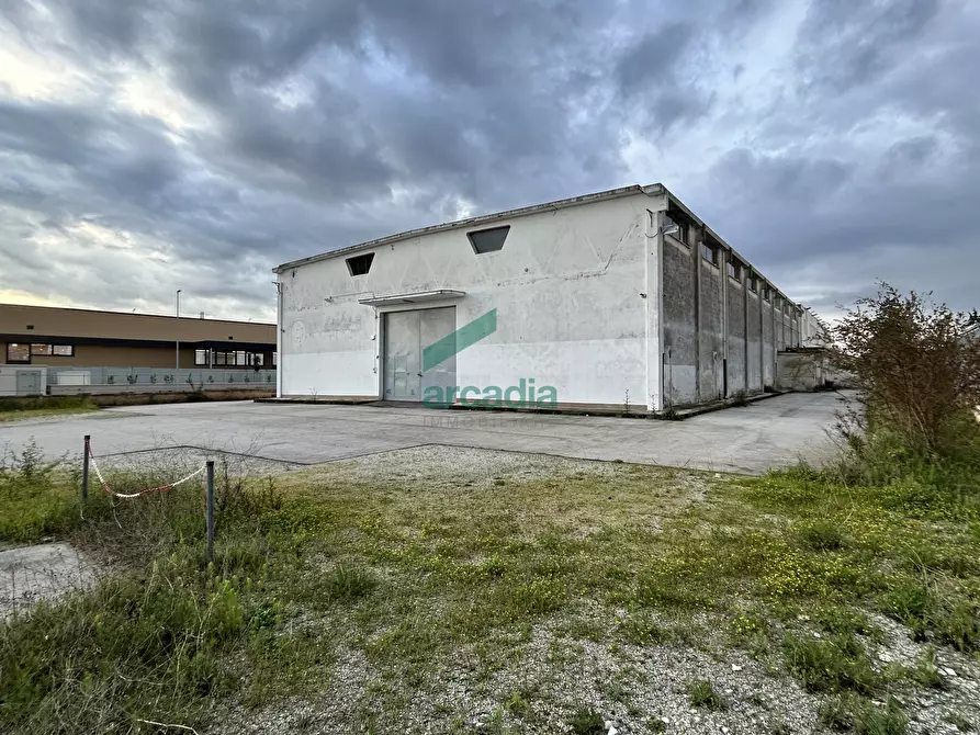 Immagine 12 di Attività artigianale in affitto  in Via Modugno 97 a Bitonto