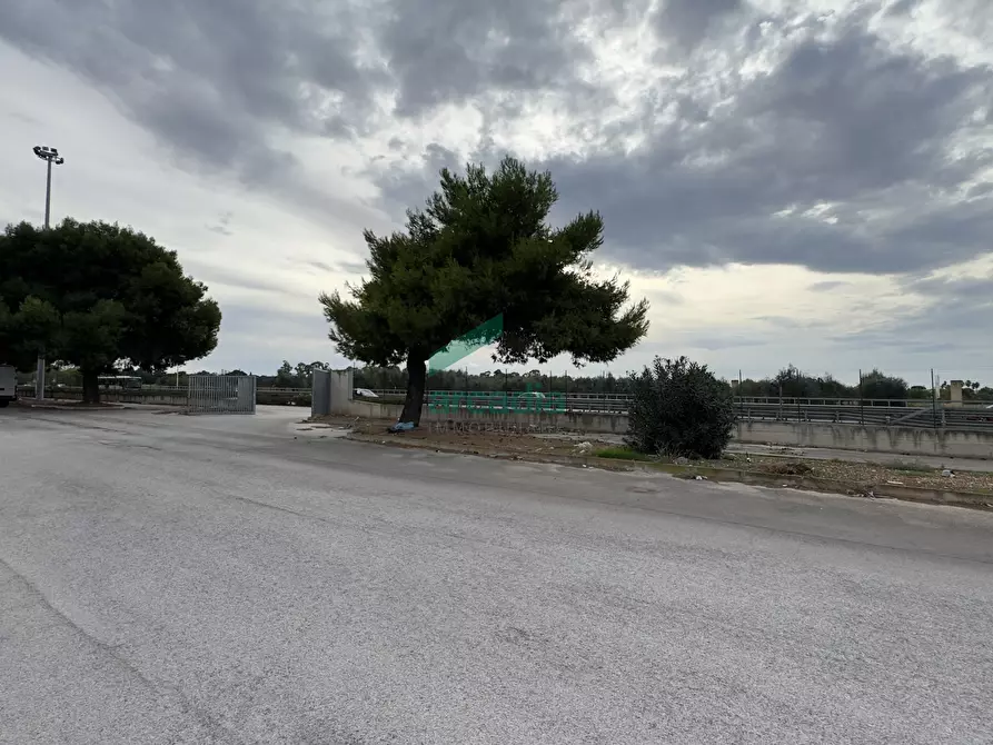 Immagine 3 di Capannone industriale in vendita  in Strada Statale 100, Snc Snc a Casamassima