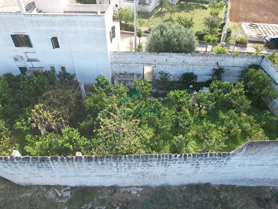 Immagine 29 di Rustico / casale in vendita  in Contrada Cristo delle Zolle 209 a Monopoli