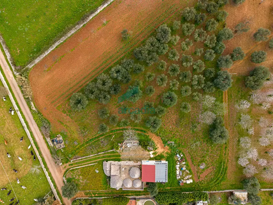 Immagine 27 di Rustico / casale in vendita  in Contrada Terranova a Monopoli