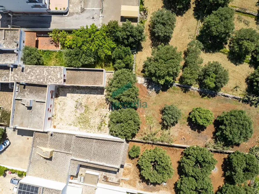 Immagine 13 di Rustico / casale in vendita  in Via Teano 58 a Fasano