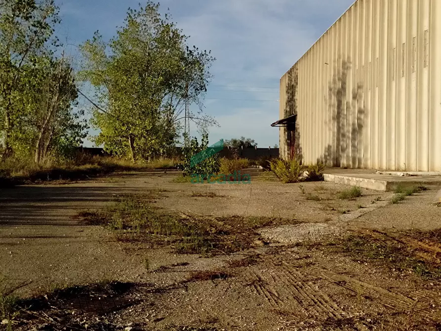 Immagine 21 di Attività artigianale in affitto  in SP231 KM 3,800 a Modugno